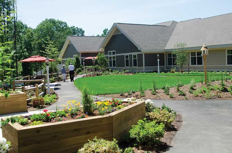 A beautifully landscaped garden with a pathway leading to modern buildings.