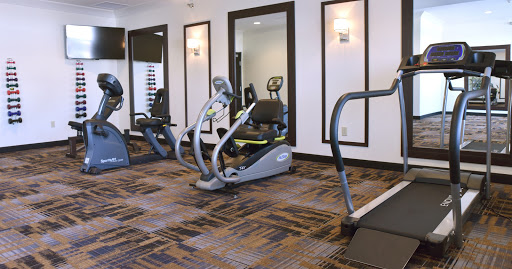 A well-equipped fitness center featuring various cardio machines for a complete workout.