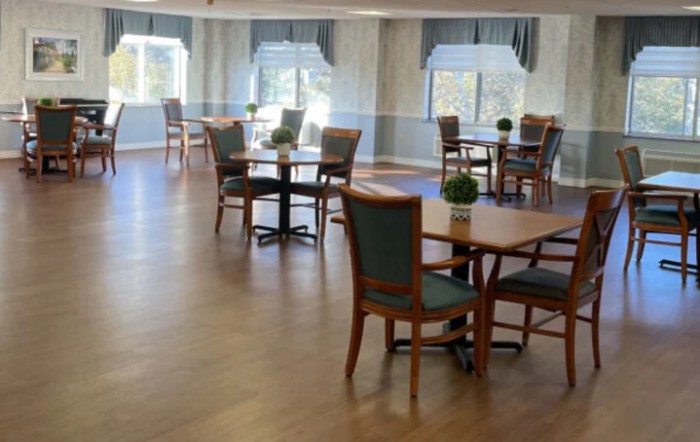 An empty dining room with tables and chairs, decorated with small plants and featuring large windows with curtains.