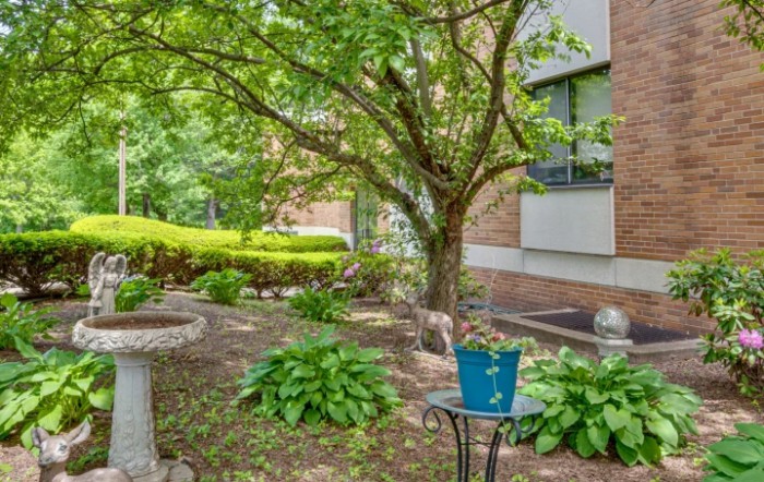 A peaceful garden with lush greenery, featuring a tree, potted plant, and birdbath.
