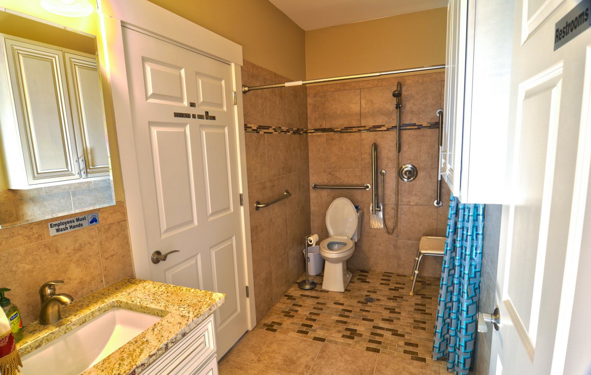 An accessible bathroom with a toilet, shower, and grab bars for safety.