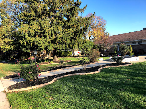 A serene garden pathway surrounded by lush greenery and tall trees.