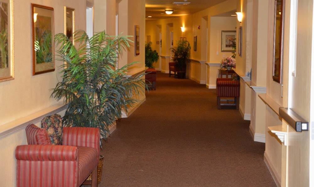 A warmly lit hallway with decorative plants and seating areas.