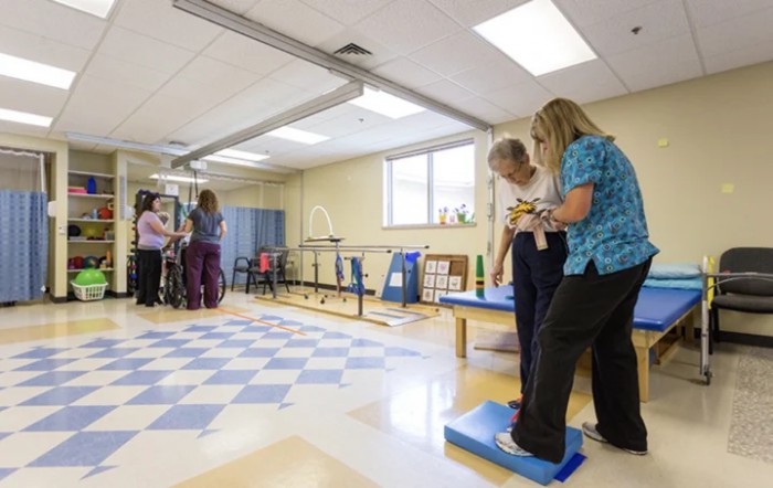 A rehabilitation session taking place in a physical therapy room with patients and therapists.