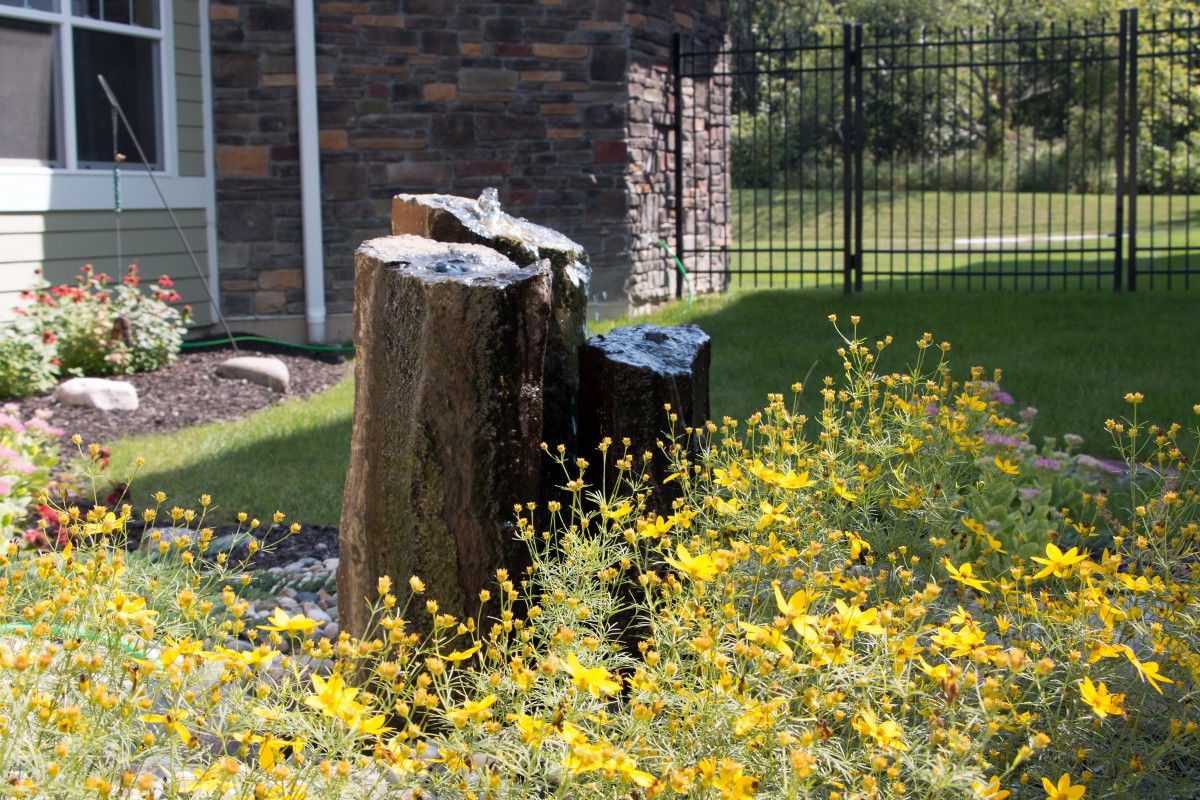 Tree stumps surrounded by vibrant yellow flowers in a garden setting.