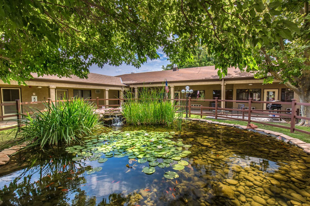 A tranquil garden with a pond filled with lily pads, surrounded by greenery and an outdoor building.