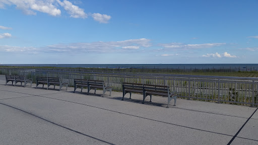 A serene view of benches lined up along a walkway with an expansive ocean view under a clear blue sky.