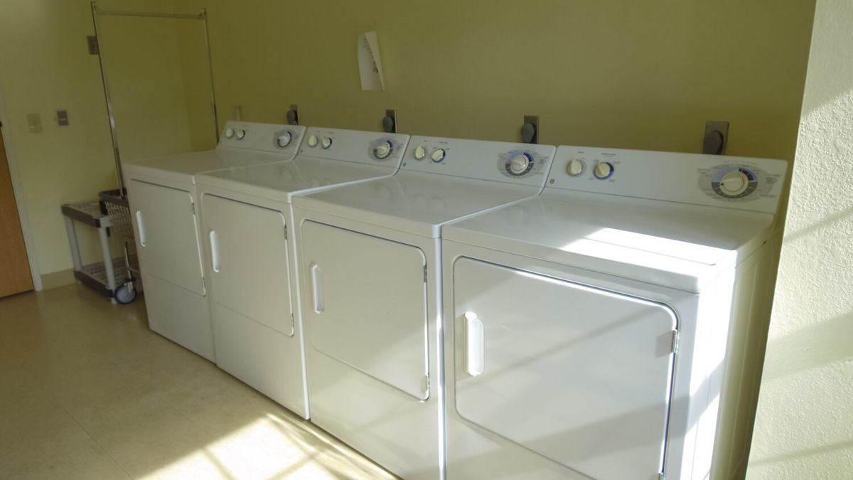 A row of washing machines and dryers in a laundry room.