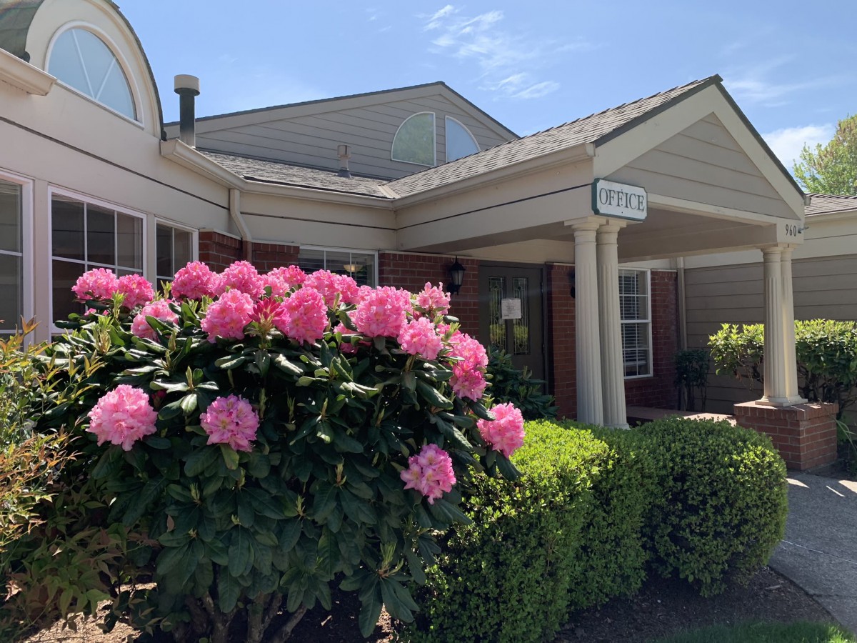 A building entrance adorned with vibrant pink flowers and lush green bushes on a sunny day.