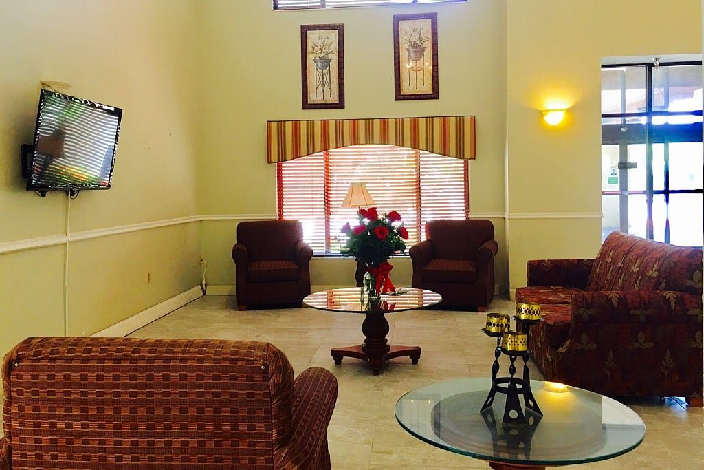 A cozy living room with comfortable sofas, a coffee table, and decorative elements.