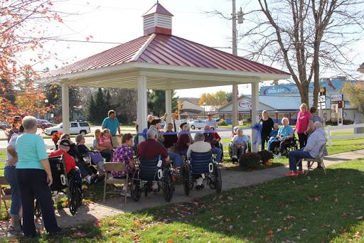 A vibrant community gathering at a park pavilion, featuring elderly individuals enjoying the outdoors.