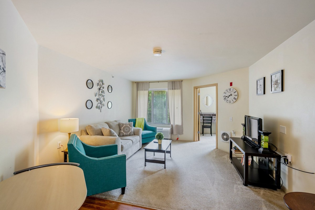 A cozy living room featuring a sofa, armchairs, coffee table, and TV with decorative elements.