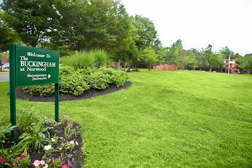 A well-maintained garden path surrounded by lush greenery and flowers.