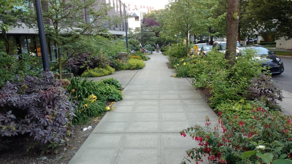 A city sidewalk surrounded by lush greenery.