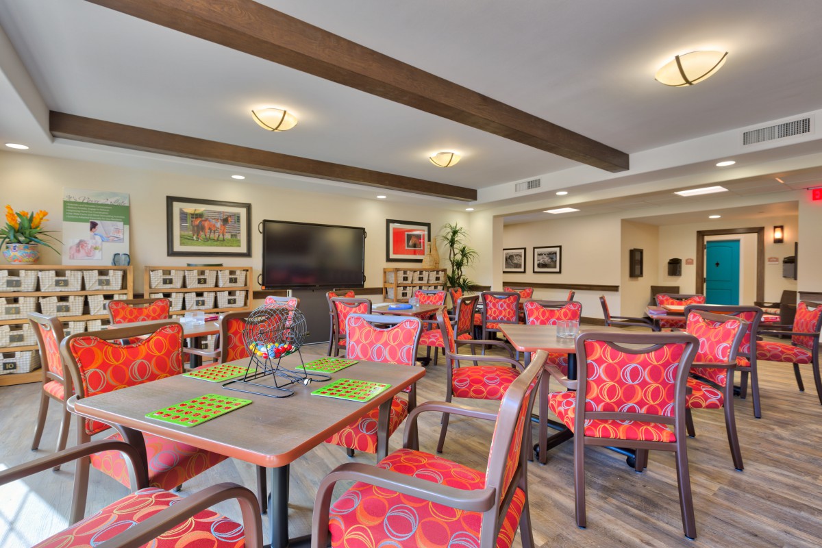 A cozy dining area with colorful chairs and modern decor.
