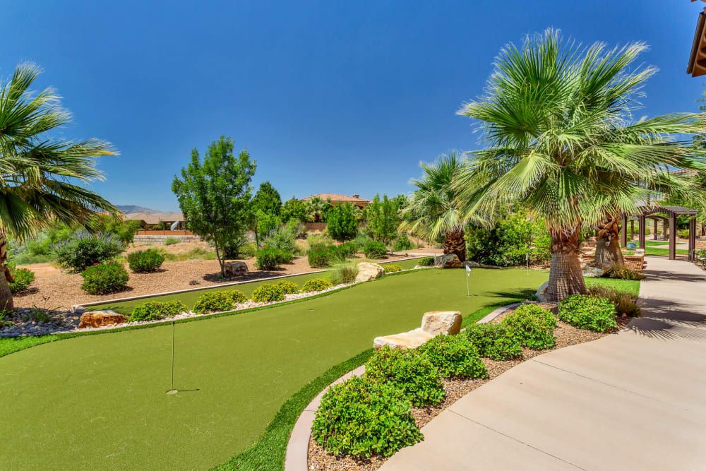 A beautifully landscaped outdoor area featuring a putting green surrounded by palm trees and lush greenery under a clear blue sky.