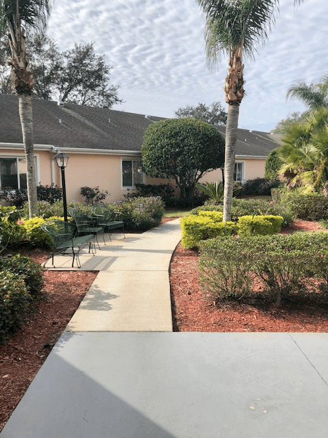 A well-maintained garden with a paved walkway, surrounded by shrubs and palm trees.