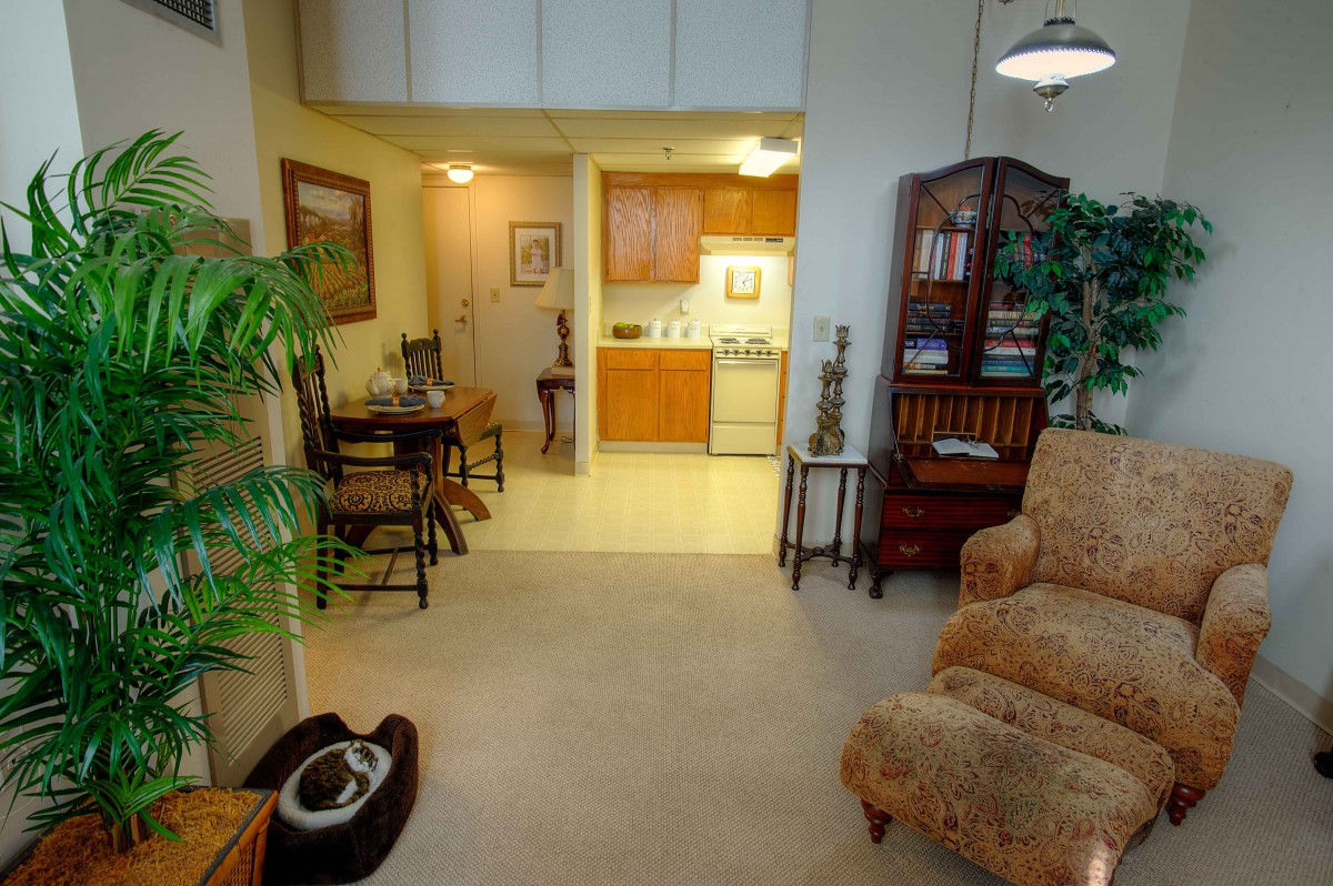 A cozy apartment with a living room leading into a small kitchen and dining area.