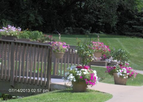 A beautifully landscaped garden with a pathway lined with vibrant flowers.