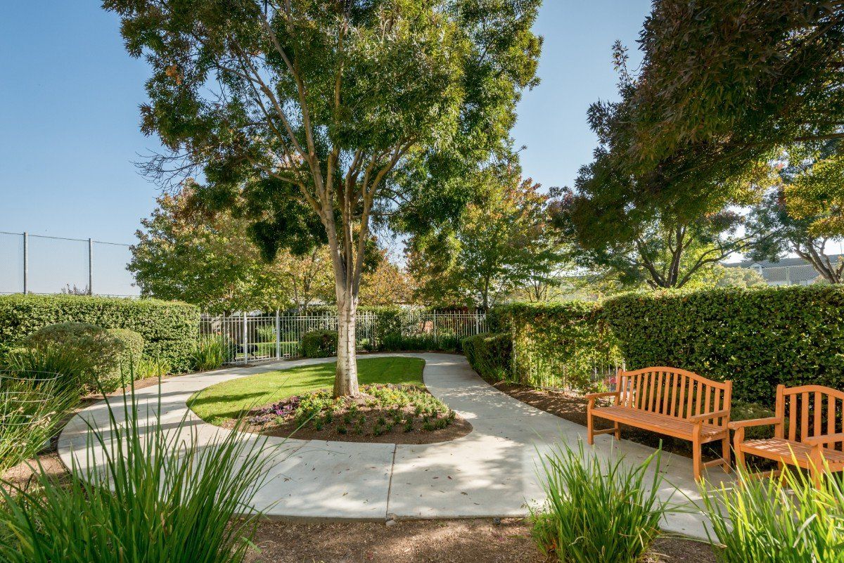 A serene garden setting with a wooden bench and a winding pathway surrounded by lush greenery.
