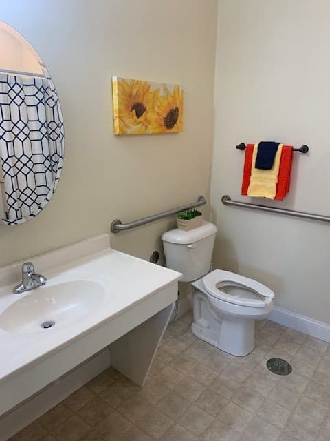 A well-equipped bathroom with a mirror, sink, toilet, and handrails for accessibility.