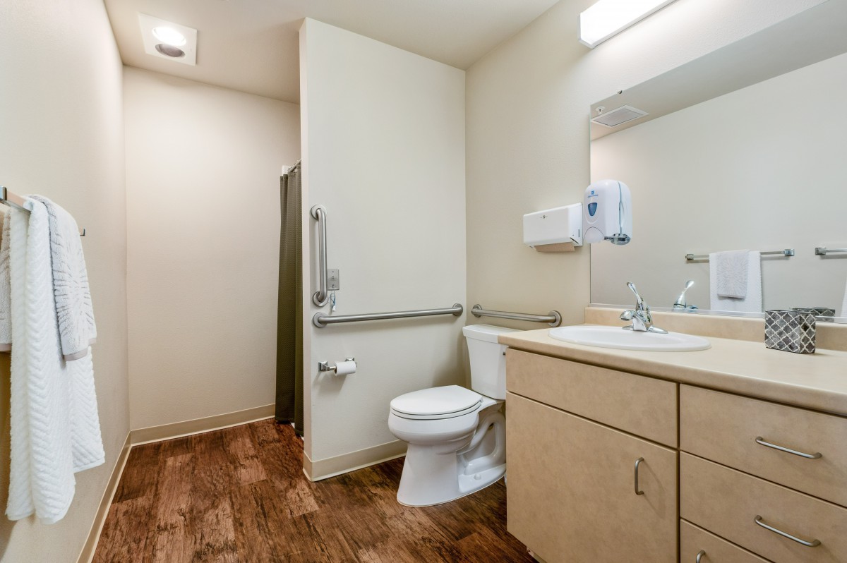 A modern, accessible bathroom featuring a toilet with handrails, a sink with a mirror above it, and wood-patterned vinyl flooring.