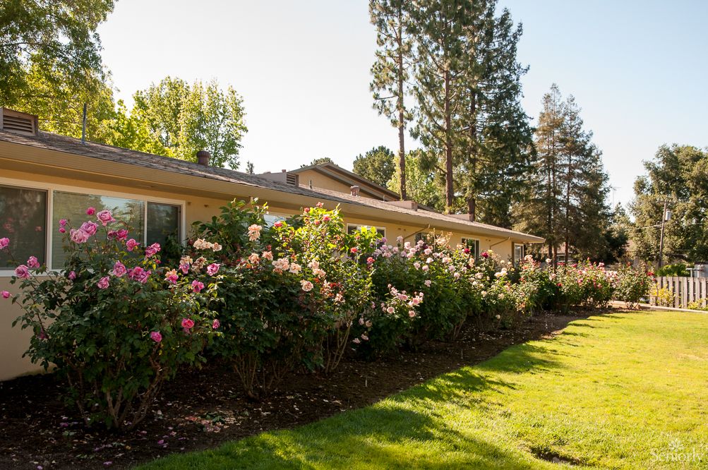 A suburban house with a beautiful garden filled with blooming roses and surrounded by lush trees and a well-maintained lawn.