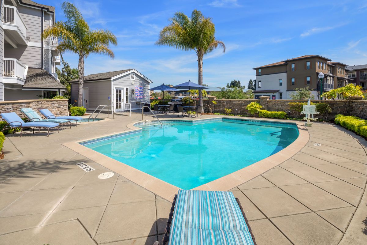 A sunny outdoor swimming pool area with palm trees and lounge chairs.
