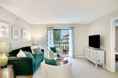 A modern living room with a green sofa, coffee table, and a television, featuring a sliding glass door with patterned curtains.