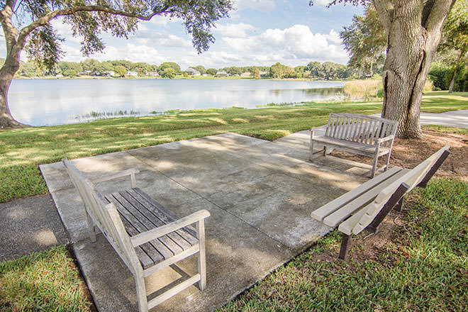 A tranquil lakeside setting featuring two wooden benches under the shade of trees.