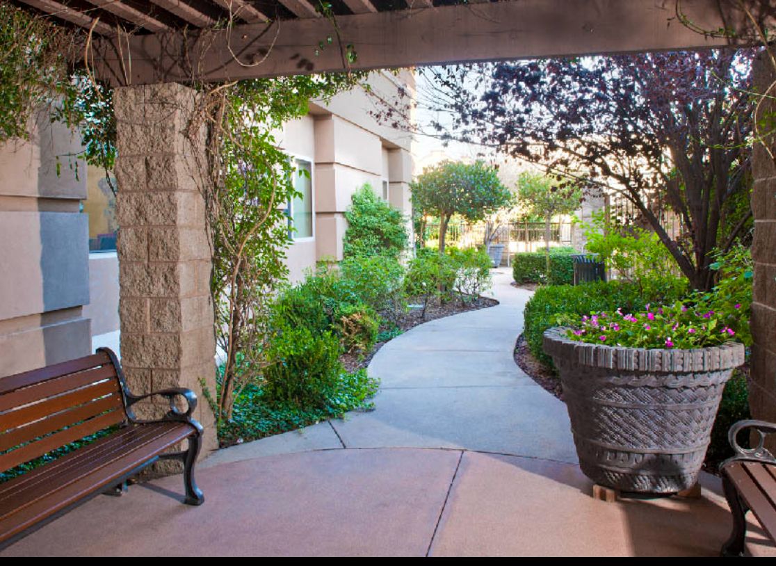 A serene garden pathway lined with lush greenery and a wooden bench under a pergola.