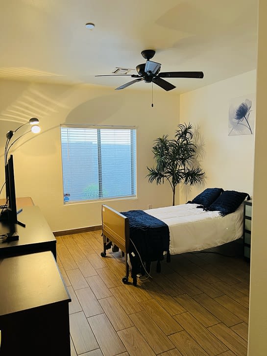 A minimalist bedroom with a bed, ceiling fan, and indoor plant, featuring a large window and wooden flooring.
