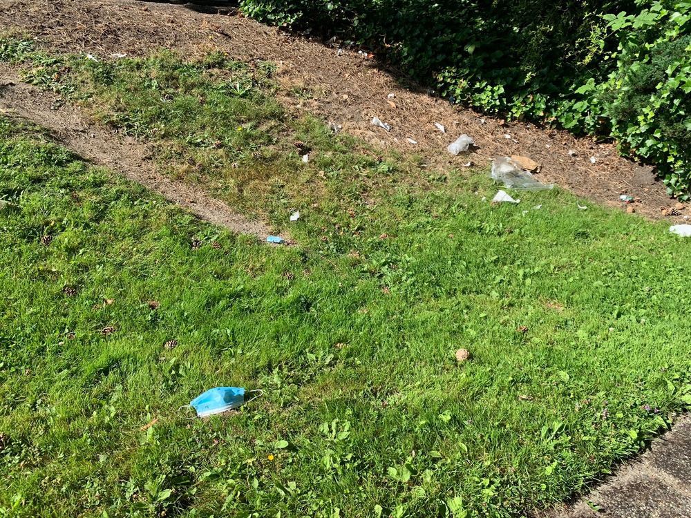 Litter scattered across a grassy area with plastic waste visible.