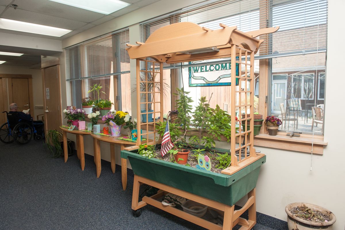 Winter Growth - Marge's Memory Care