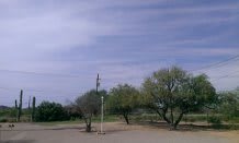 A scenic outdoor view featuring trees under a partly cloudy sky.