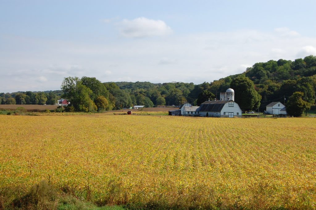 A peaceful rural landscape featuring a barn and a golden field under a clear sky.