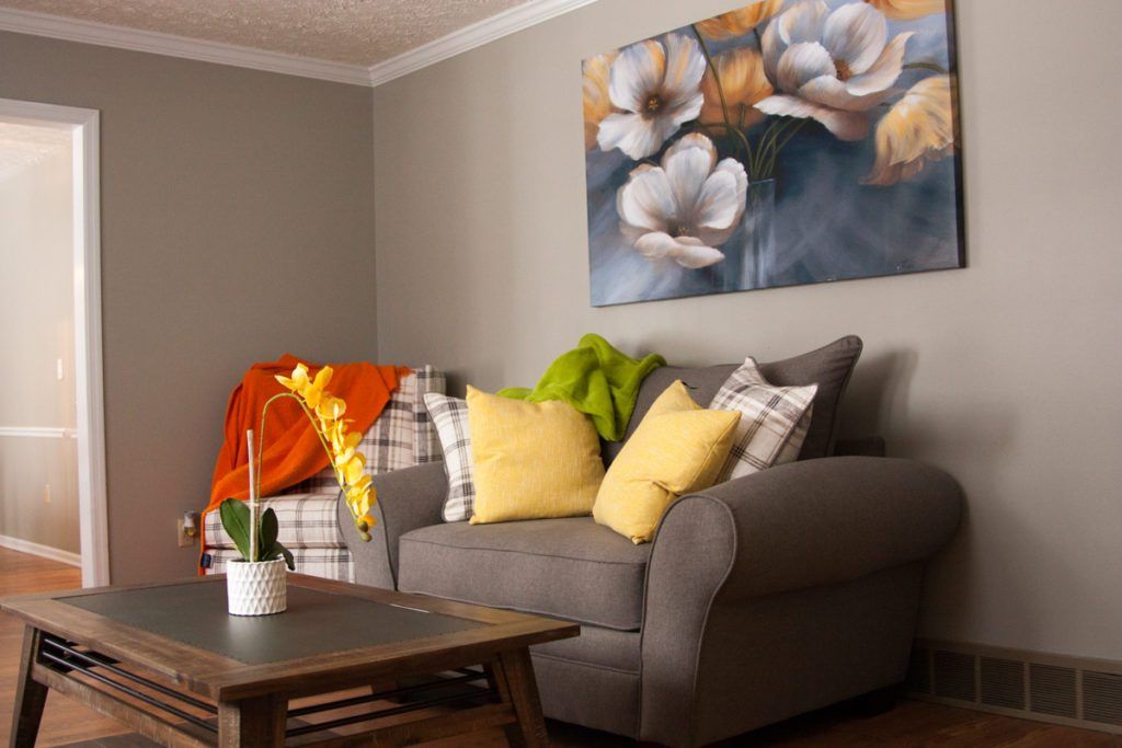 A cozy living room with a grey sofa adorned with colorful cushions and a vibrant throw, complemented by a floral painting on the wall.