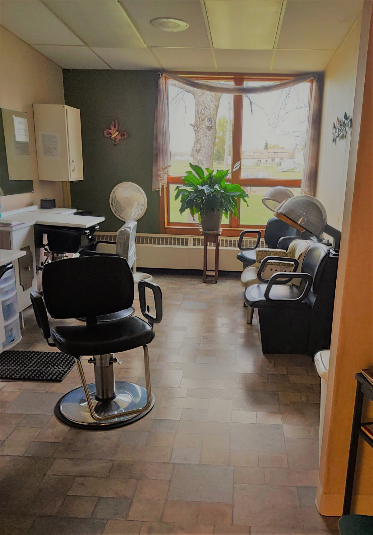 A cozy hair salon with chairs, mirrors, and a large window letting in natural light.