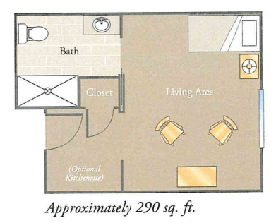 A floor plan of a studio apartment approximately 290 sq. ft. featuring a living area, closet, and bathroom.