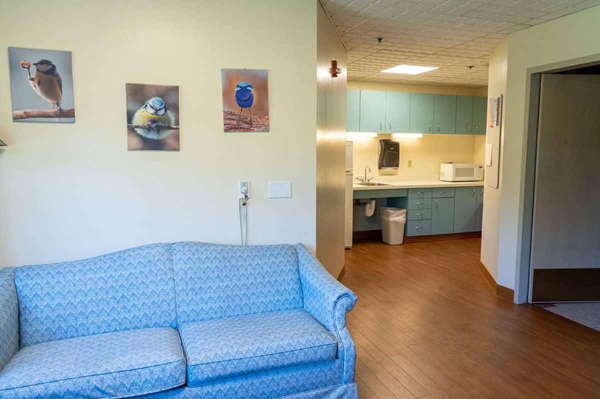 A cozy waiting room with a blue sofa and a kitchenette in the background.