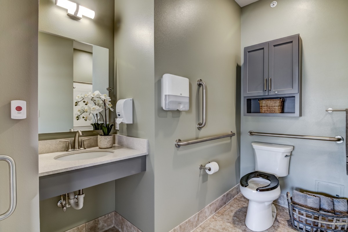 A modern bathroom featuring a toilet, sink with a mirror, handrails for accessibility, and stylish cabinetry.