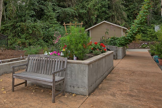 A tranquil garden area with a wooden bench, potted plants, and a small shed in the background.