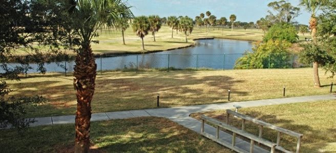 A scenic view of a park with a lake surrounded by palm trees.