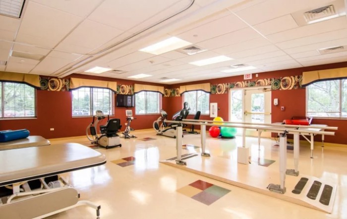 A spacious and well-lit gym with various exercise equipment and therapy balls, ideal for rehabilitation and fitness activities.