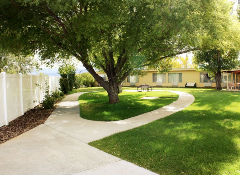 A serene garden with winding pathways and lush greenery.