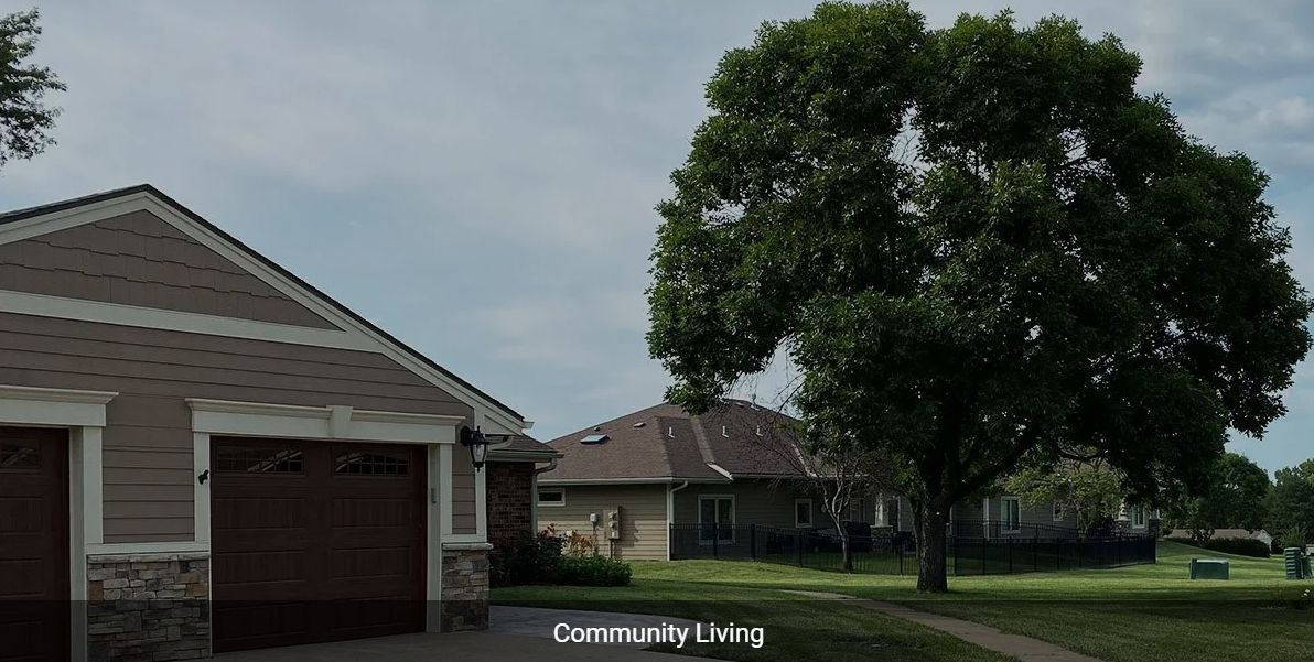 A view of suburban community living with houses and a large tree.