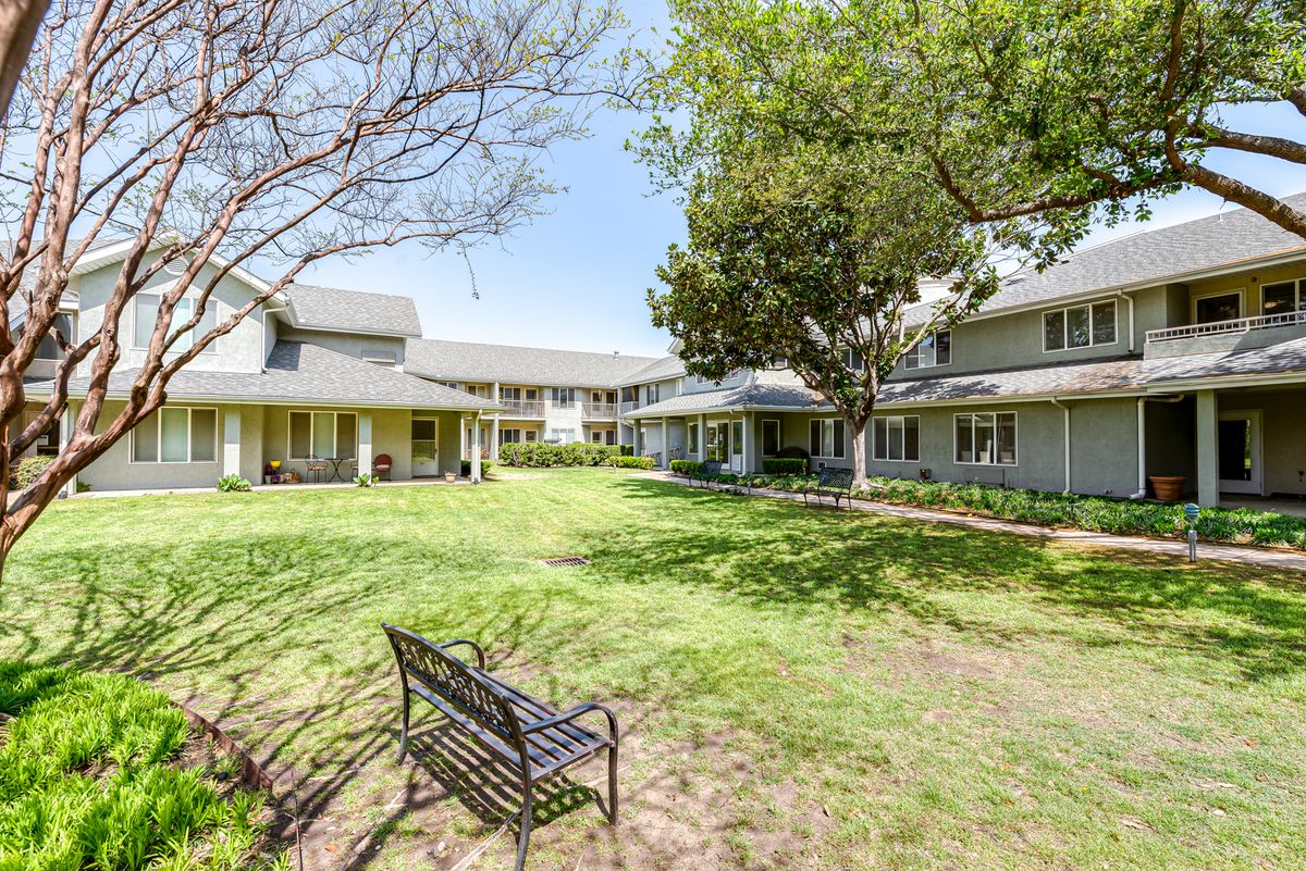 A peaceful courtyard surrounded by buildings and shaded by trees, featuring a solitary bench on a grassy area.