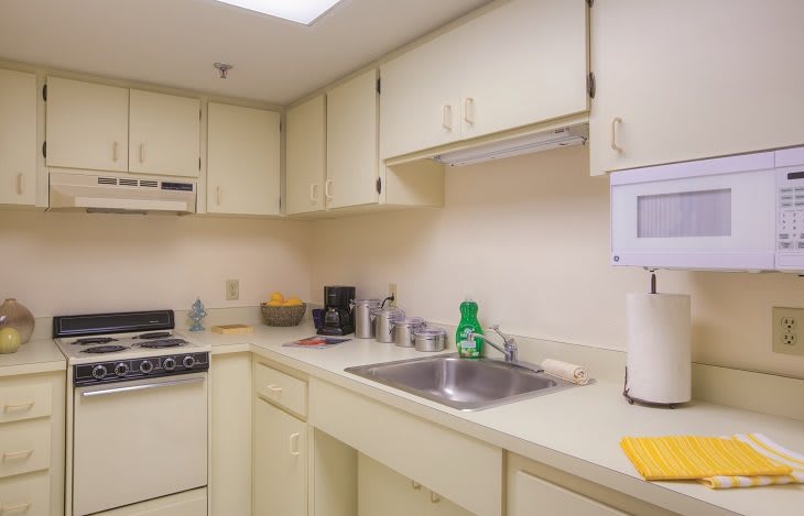 A compact kitchen with cream-colored cabinets and a countertop.
