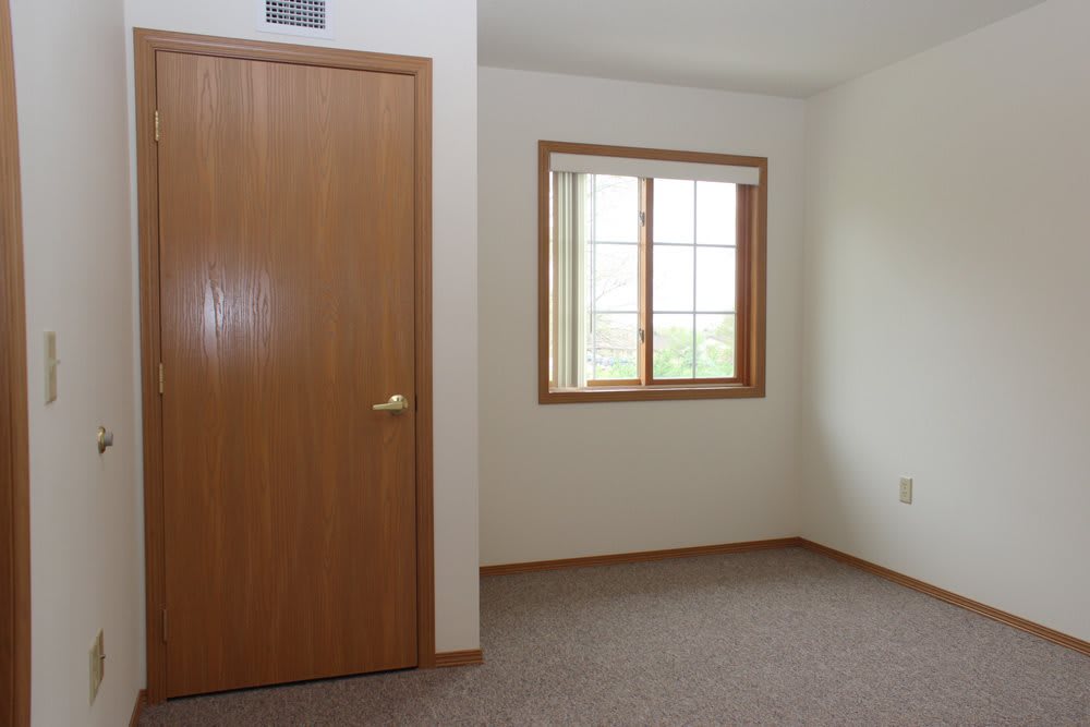 A minimalist empty room with a carpeted floor, featuring a wooden door and window.