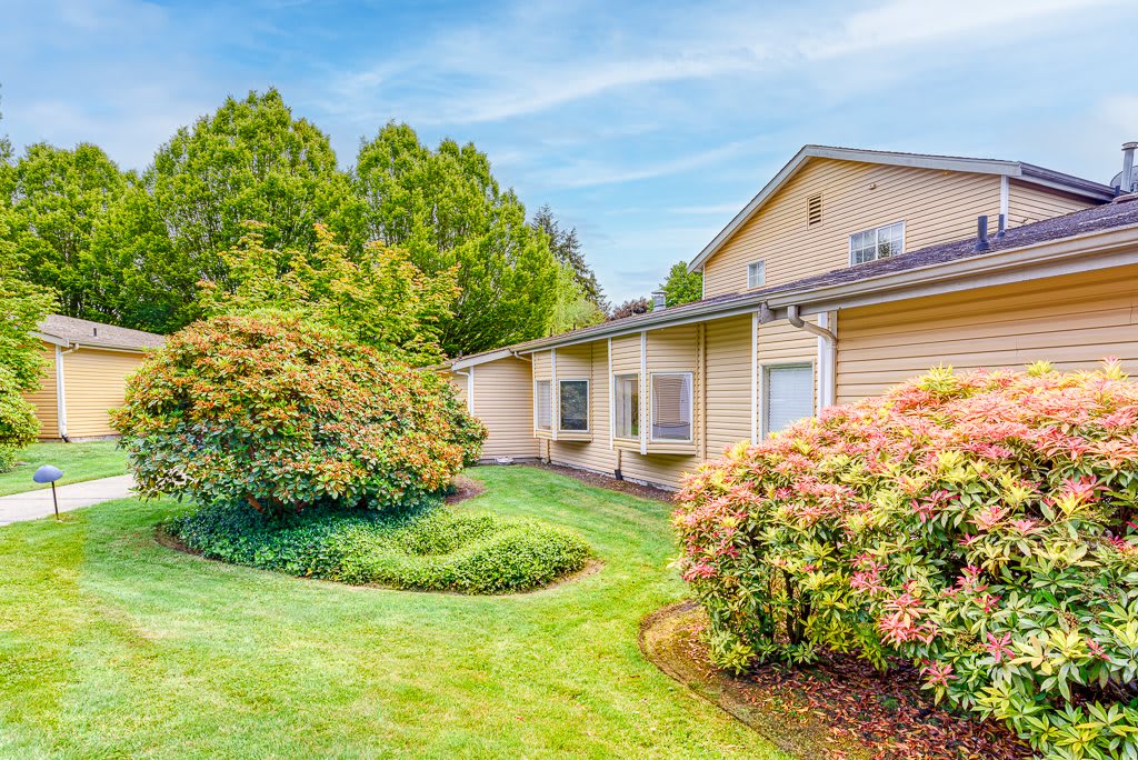 A charming suburban house with a well-maintained garden and lush green lawn.